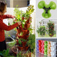 Plantepotter for grønnsaker og frukt
