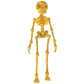 3D-printet vintage skjelett magnetisk figur 🎃