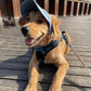 💥Utendørs solbeskyttelseshette for hunder