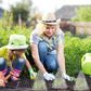 20/30 STK Clear Garden Cloche for planter
