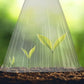 20/30 STK Clear Garden Cloche for planter