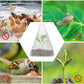 20/30 STK Clear Garden Cloche for planter