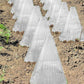 20/30 STK Clear Garden Cloche for planter