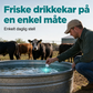 ⏰🎁Hurtigoppløselige rengjøringstabletter for vanntanker til husdyr