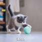 Beste Gave - Smarte Katteballen